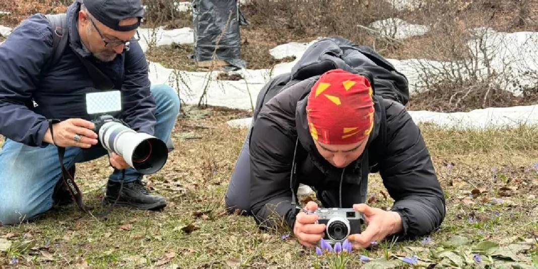 Dünyada Kocaeli’nden başka bir yerde yetişmiyor: Sabah erkenden peşine düştüler 1